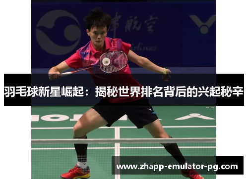羽毛球新星崛起：揭秘世界排名背后的兴起秘辛
