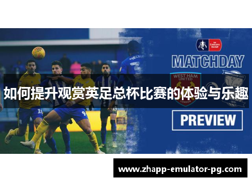 如何提升观赏英足总杯比赛的体验与乐趣